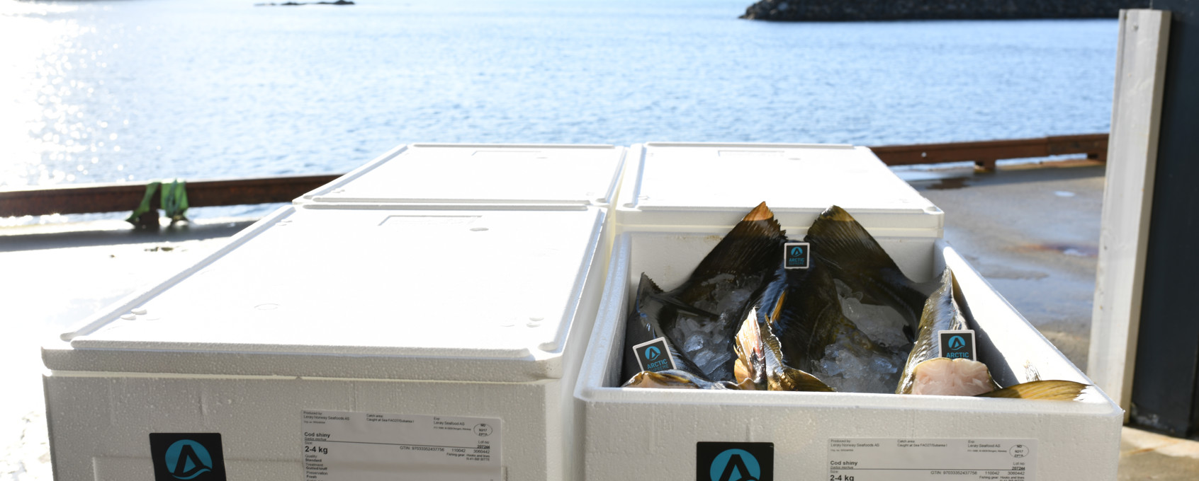 Arctic Supreme torsk