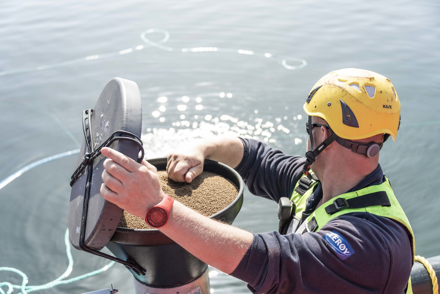 Ansatt ved vannet fôrer fisken