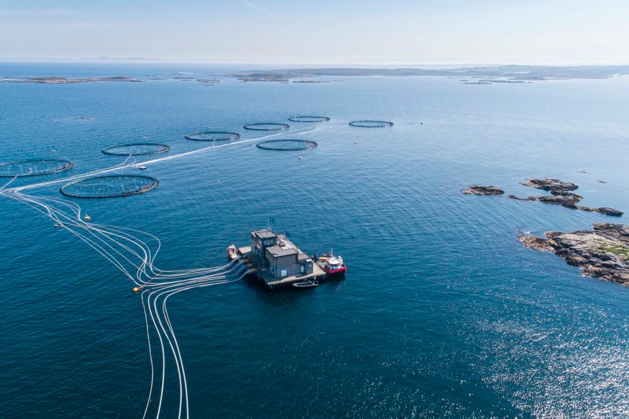 Fish cages in the sea