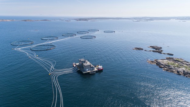 Aquaculture facility in the sea.