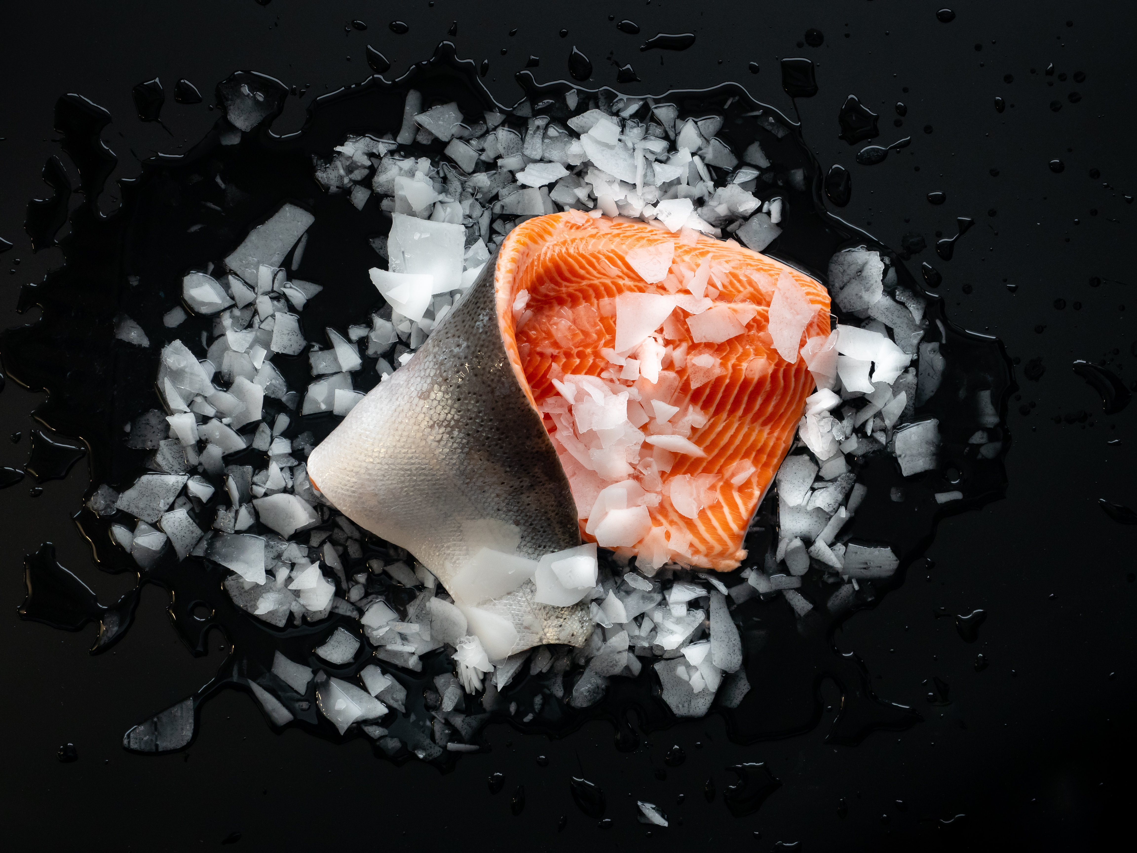Trout with ice on black background