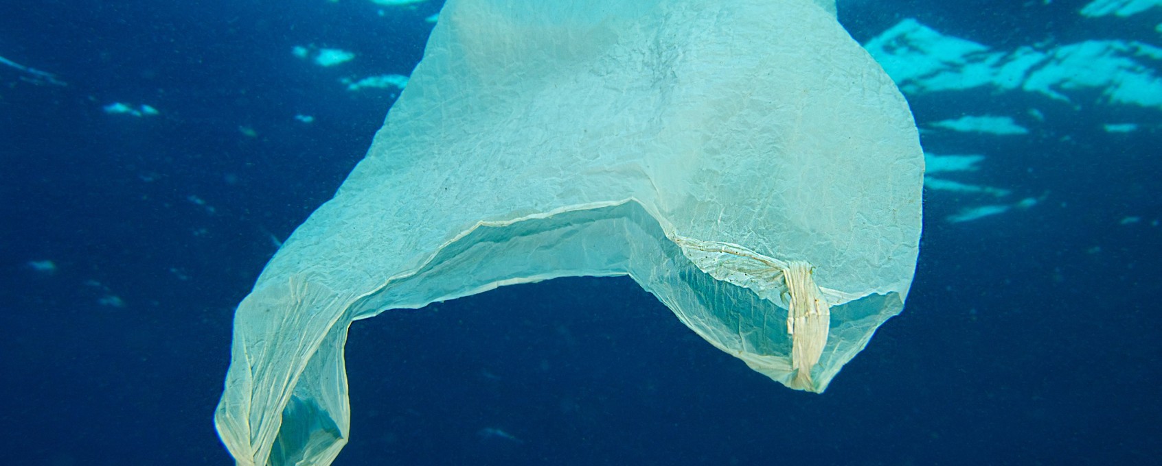 Plastpose i havet