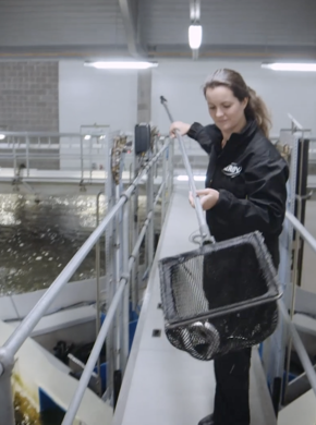 Ansatt på settefiskanlegg