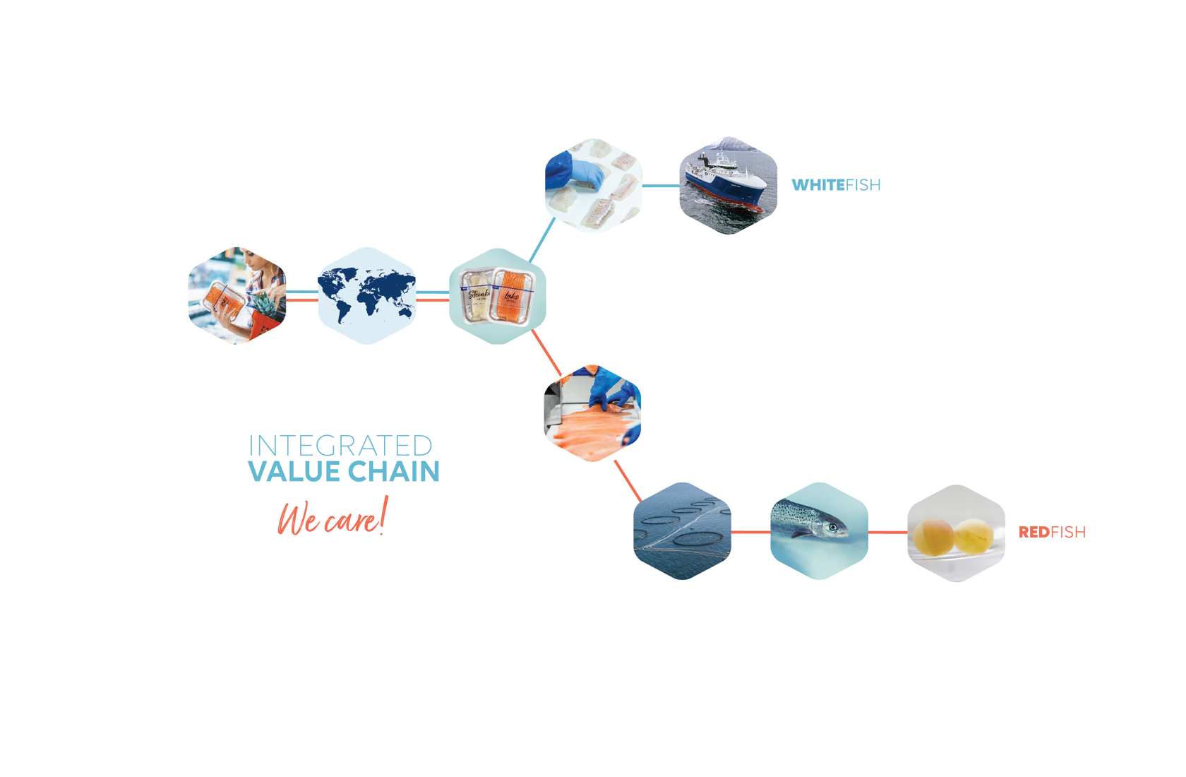 Illustration of Lerøy's value chain