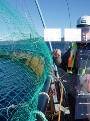 Ansatt på merdkant med digital fremstilling av data