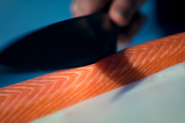 Aurora Salmon filet being cut with a knife