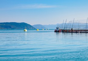 Uskedal utsikt fiskeanlegg