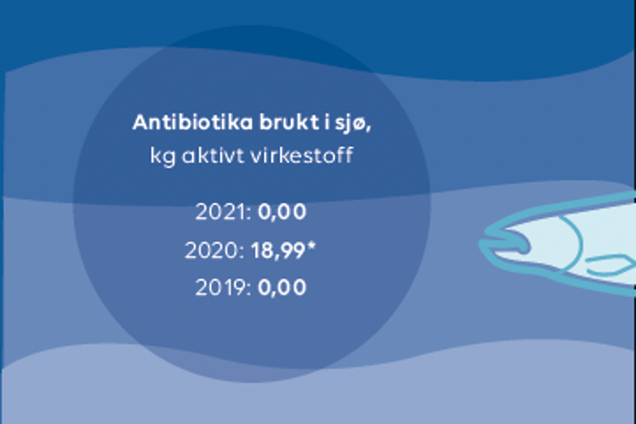 Oversikt over antibiotikabruk