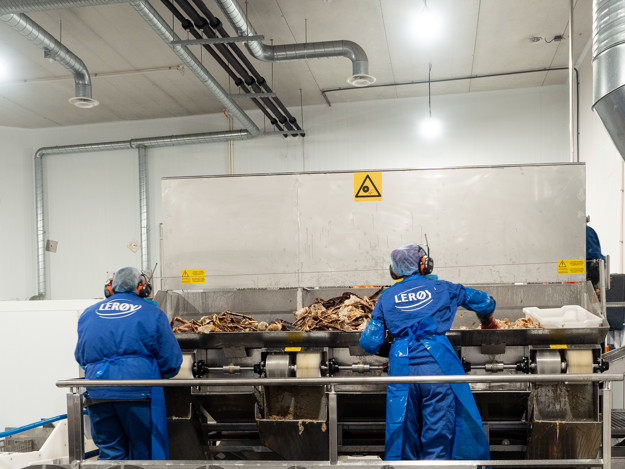 Employees at the factory working with the king crab production