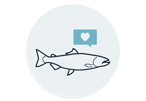 Employee at the fish cages 