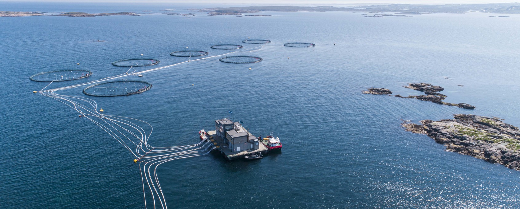 Fish cages at sea