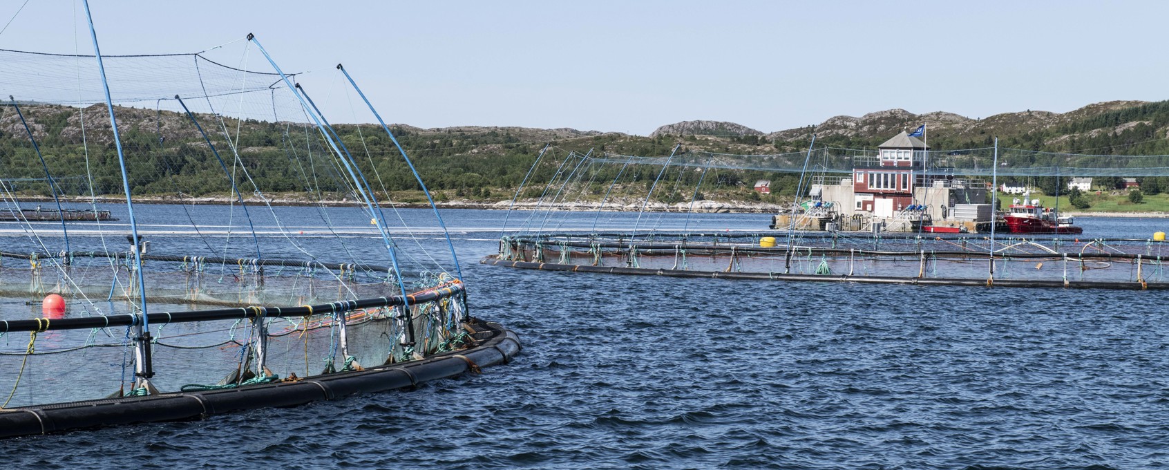 Fish cages in the sea