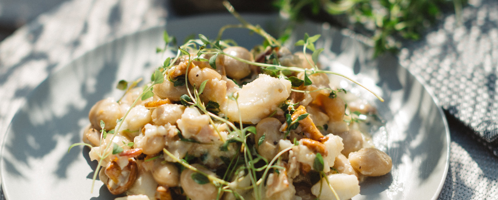 Gryte med steinbit, sopp og timian