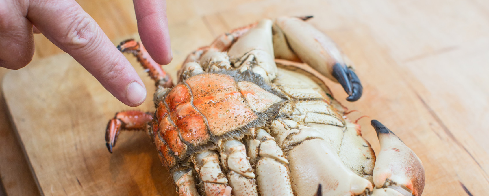 Slik renser du krabbe